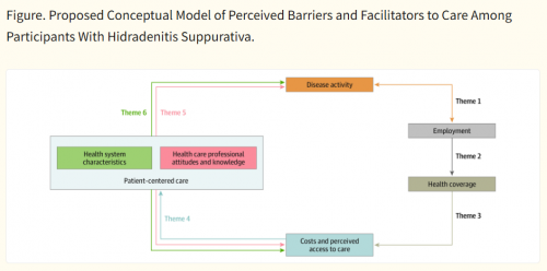 Patient Perspectives of Health System Barriers to Accessing Care for Hidradenitis Suppurativa