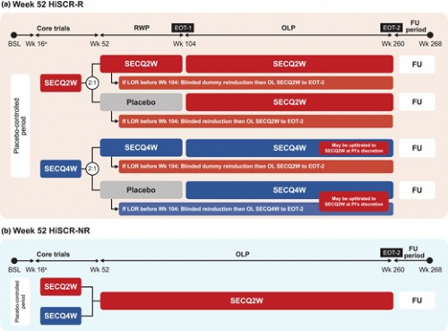 Long-term efficacy and safety of secukinumab in patients with moderate-to-severe hidradenitis suppurativa: week 104 results from the SUNSHINE and SUNRISE extension trial