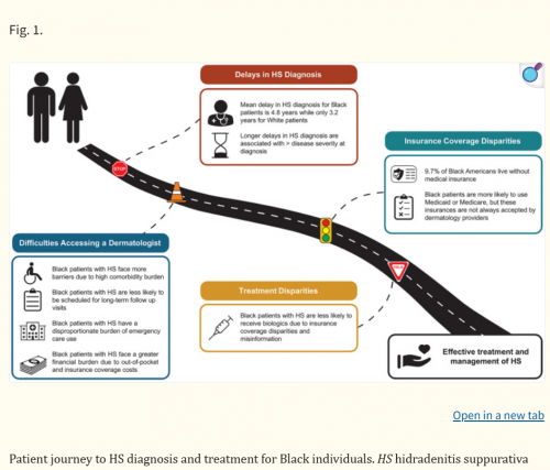 Exploring the Experience of Black Americans Living with Hidradenitis Suppurativa in the United States Healthcare System: A Narrative Review