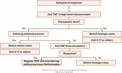Therapeutic drug monitoring in hidradenitis suppurativa patients on adalimumab: A retrospective cohort
